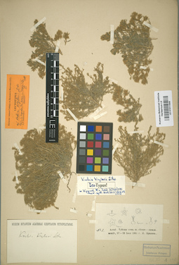 LE 01011505