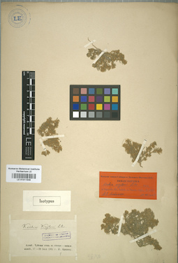 LE 01011506
