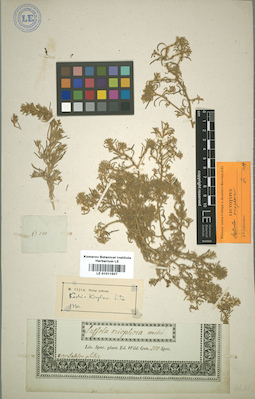 LE 01011507
