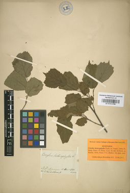 LE 01012789
