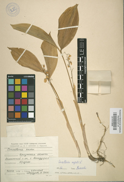 LE 01013856