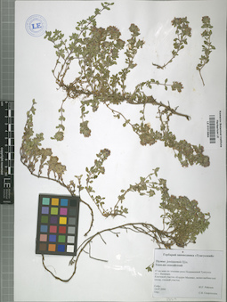 LE 01013864