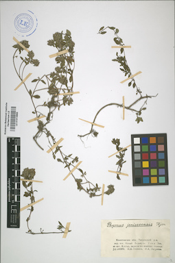 LE 01013865