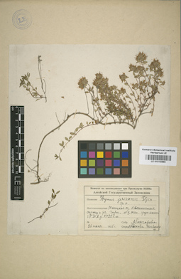 LE 01013866