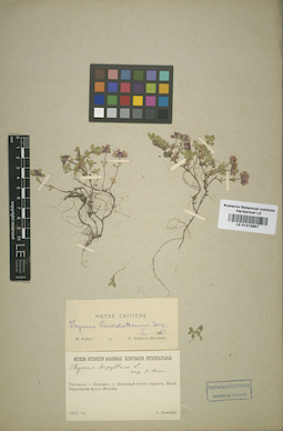 LE 01013867