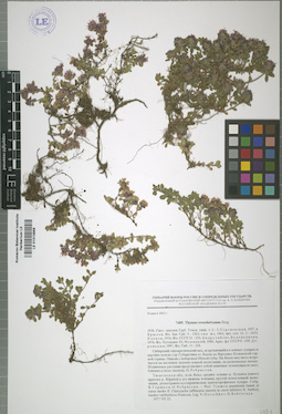 LE 01013868