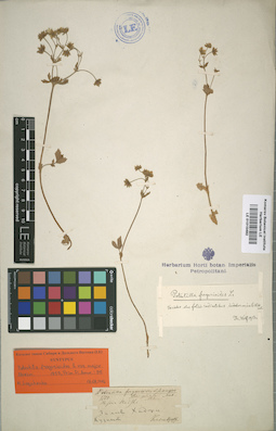 LE 01015492