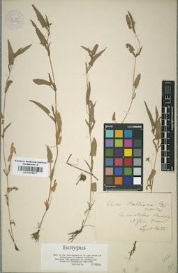LE 01015917