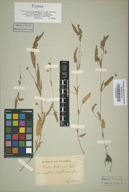 LE 01015918