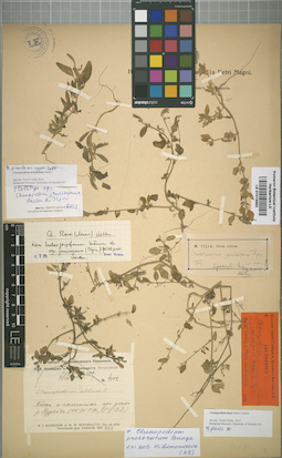 LE 01015992