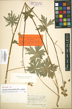 LE 01019985
