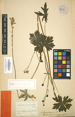 LE 01019988