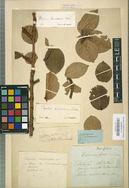 LE 01024053