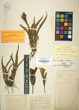 LE 01025688