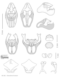 LE 01123082