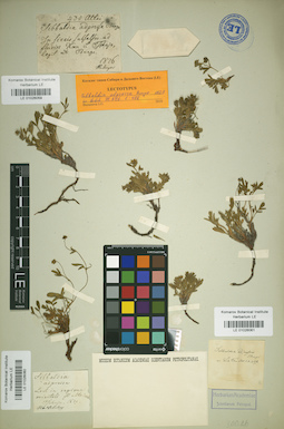 LE 01026059