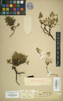 LE 01026064