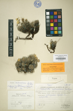 LE 01032103