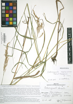 LE 01032185