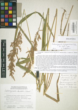 LE 01032190