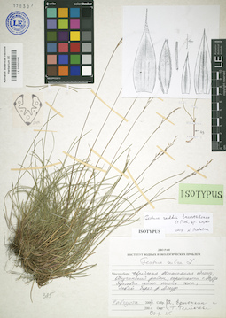 LE 01032192