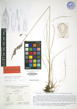 LE 01032196