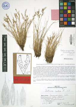 LE 01032197