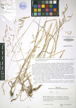 LE 01041301