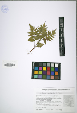 LE 01042278