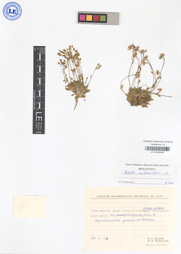 LE 01043442