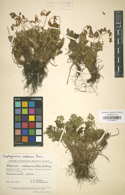 LE 01043877