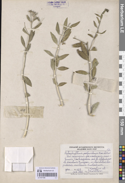 LE 01071426