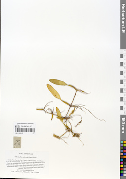 LE 01055147