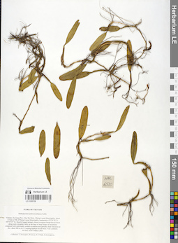 LE 01055158