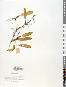 LE 01055164