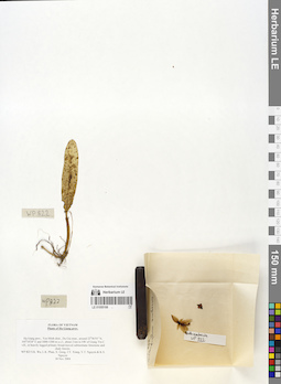 LE 01055168