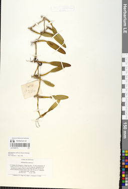 LE 01055173