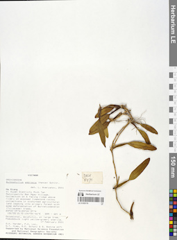 LE 01055176