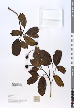 LE 01055348