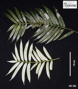 LE 01058122