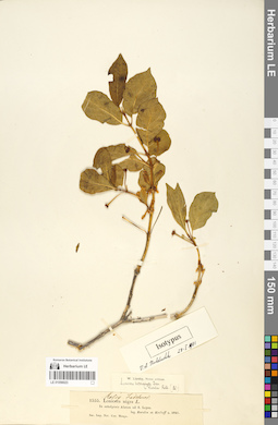 LE 01056023