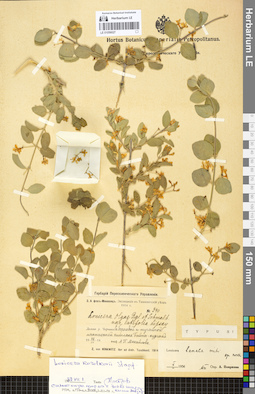 LE 01056027