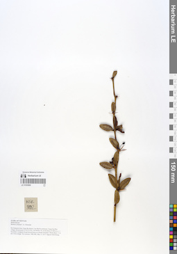 LE 01055890