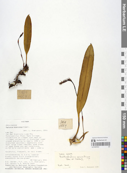 LE 01057612
