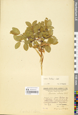LE 01056338