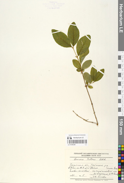 LE 01056346