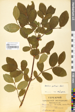 LE 01056406