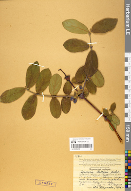 LE 01056419