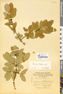LE 01056441