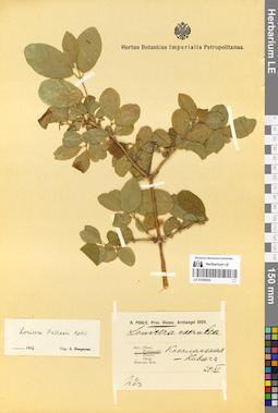 LE 01056452